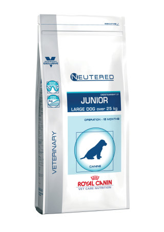Neutered Junior Large Dog